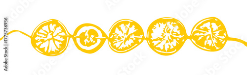 Old fashioned garland with dried orange slices illustration