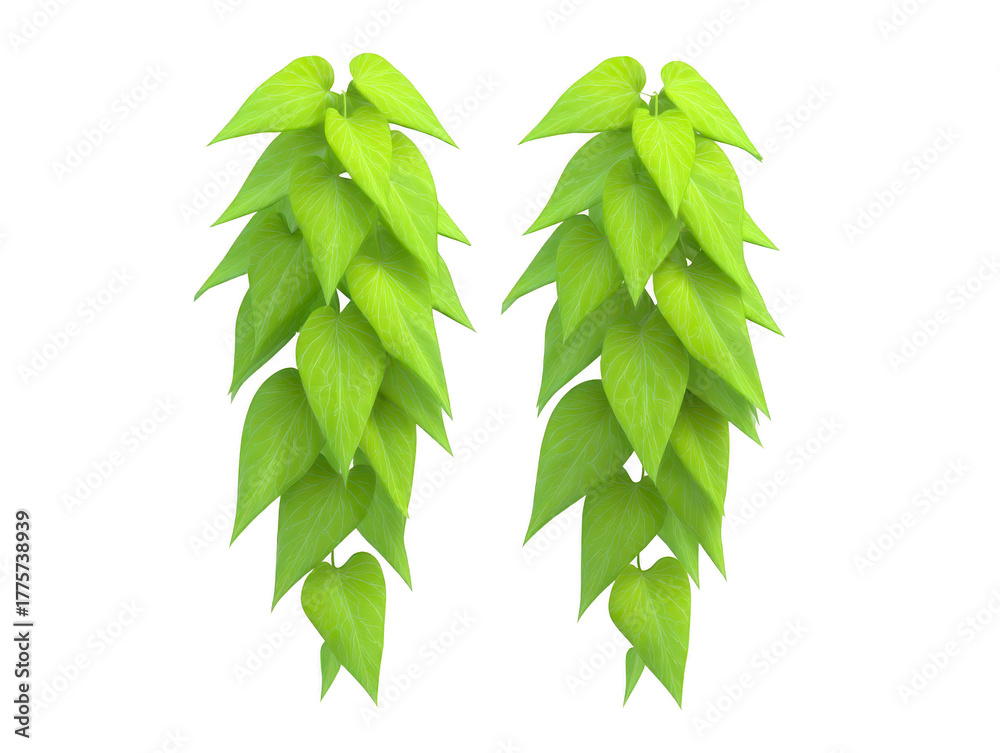 Naklejka premium Trailing green vine plant with heart shaped leaves, isolated on transparent background, perfect for indoor decoration, vertical garden, or botanical design, fresh and vibrant look