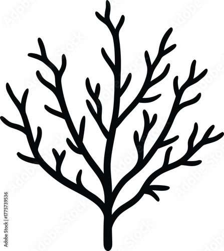 Branch Tree Silhouette Vector: Nature's Bare Limbs Graphic Element for Winter, Forest and Organic Design Themes