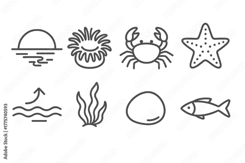Obraz premium Sunset Tide Icons. Line style icons of Sunset Tide Pool: Golden Reflection, Anemone, Crab, Starfish, Retreating Tide, Seaweed,