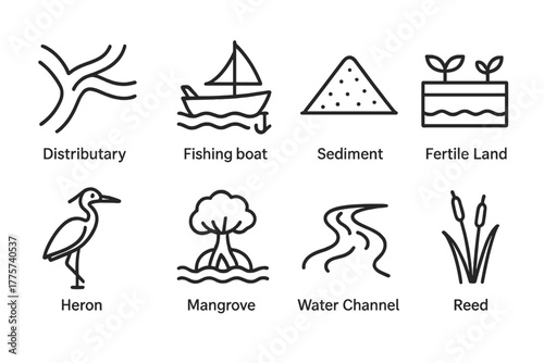 Delta Line Icons. Line style icons of Delta: Distributary, Fishing Boat, Sediment, Fertile Land, Heron, Mangrove, Water Channel,
