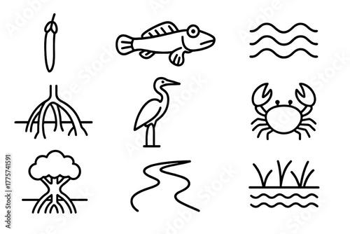 Mangrove Forest Icons. Line style icons of Mangrove Forest: Seed Pod, Mudskipper, Tide, Prop Roots, Heron, Crustacean, Mangrove