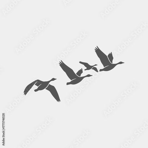 A flock of five birds is flying in formation with wings spread.