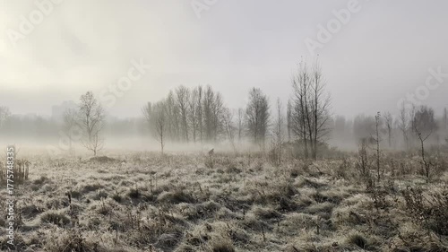 Misty autumn morning over calm river and distant trees