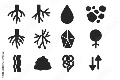 Underground Symbiosis Icons. Solid style icons of Underground symbiosis: root tips, fungal filaments, nutrient droplet, soil