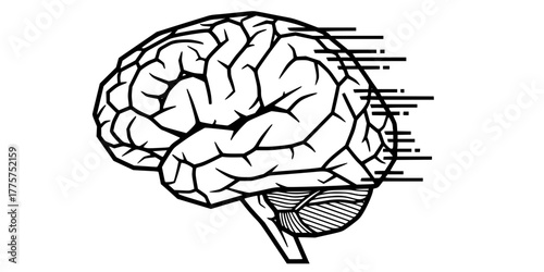 Geometric Faceted Brain Simple Cognitive AI Vector