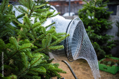 Christmas Tree Wrapping Machine And On Christmas Tree Market