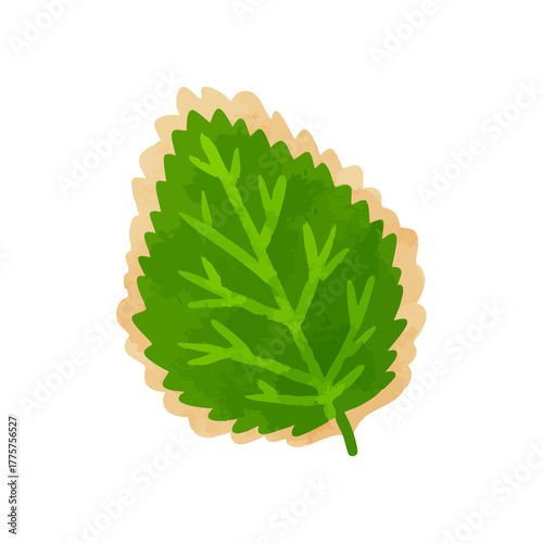 大葉天ぷら　水彩風手描きベクターイラスト