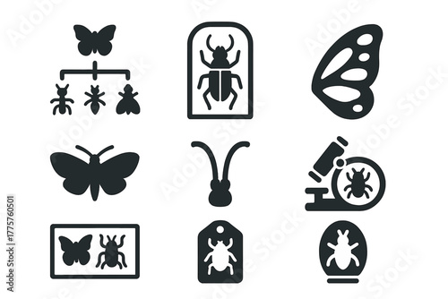 Entomology Icon Set. Solid style icons of Entomology: insect chart, beetle specimen, butterfly wing, moth silhouette, antenna