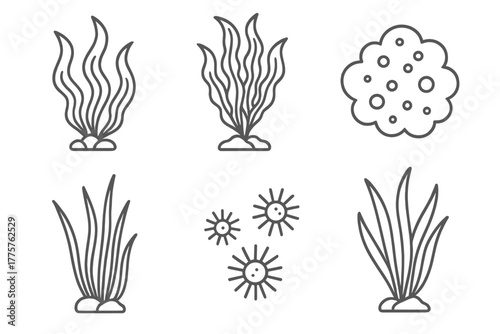 Oceanic Plant Icons. Line style icons of oceanic plants: seaweed, kelp, algae bloom, plankton cloud, seagrass, phytoplankton. No