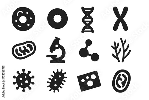 Biology Study Icons. Solid style icons of biology study: cell, nucleus, DNA strand, chromosome, mitochondria, microscope, protein,