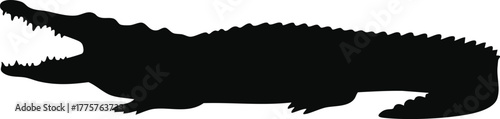 Crocodile silhouette vector illustration with open mouth and detailed body shape natural design 