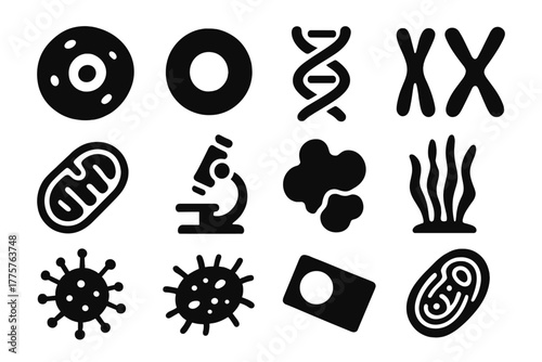 Biology Study Icons. Solid style icons of biology study: cell, nucleus, DNA strand, chromosome, mitochondria, microscope, protein,