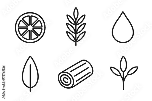Natural Perfumery Icons. Line style icons of natural perfumery: citrus fruit, herbs, resin drop, flower petal, wood chip, spice