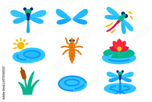 Dragonfly Pond Icons. Flat vector icons of Dragonfly in Nature: dragonfly, wings, flight, pond, nymph, larva, water lily, reed,