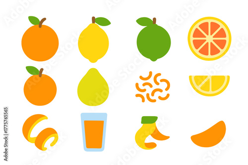Vibrant Citrus Icons. Flat vector icons of Citrus Fruits Collection: orange, lemon, lime, grapefruit, tangerine, mandarin, pomelo,