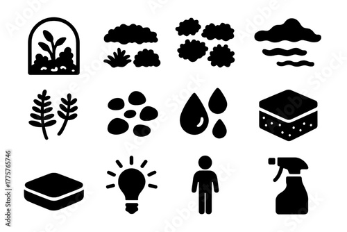 Moss Terrarium Icons. Solid style icons of Moss Display: Glass Terrarium, Various Moss, Miniature Rocks, Mist, Tiny Ferns, Pebbles