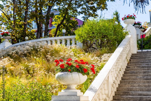 Fotografie Spanish Steps with red flowers in Tacoma