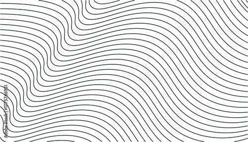 Monochrome Flow of Contour Wave Lines