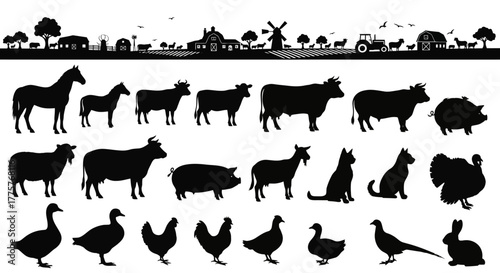 Collection of Farm Animals Silhouettes Isolated on White Background.
