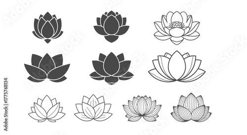 Collection of stylized lotus flower icons in silhouette and outline.