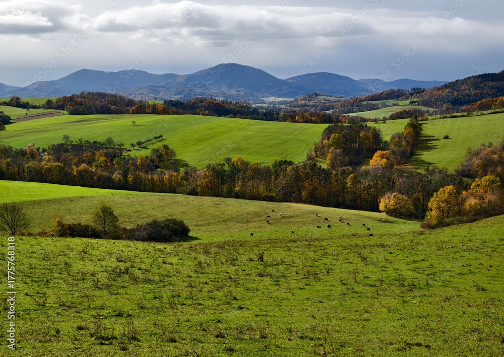Obraz premium Hilly landscape with meadows and trees in autumn
