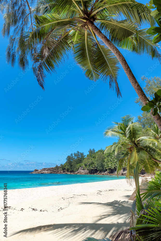 Obraz premium Palm trees on sandy beach palm and turquoise sea. Summer vacation and tropical beach concept.