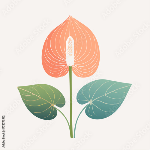 Delicate Coral Anthurium Flower With Green Leaves Against A Pale Background With Subtle Lighting And Soft Petal Details