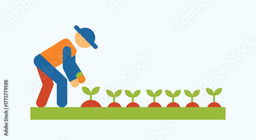A farmer carefully tending to a row of young sprouting plants