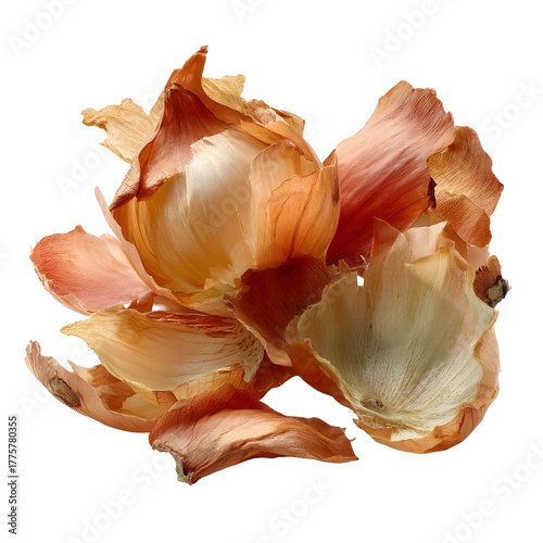 Dry papery onion skins with varied textures and colors isolated on a clean white background