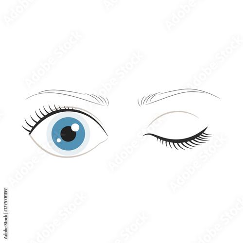 Eye with Eyelashes Looking and Winking