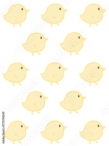 병아리 배경