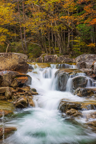 waterfall in autumn forest