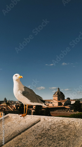 Rome, Italy – Cityscapes and Landmarks