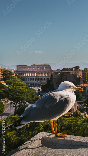 Rome, Italy – Cityscapes and Landmarks