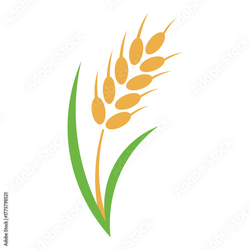 One golden wheat stalk curves gracefully against a white background with two vibrant green leaves