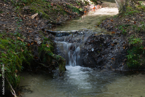 tiny waterfall in the forest