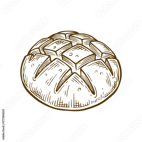 Sourdough bread hand drawn illustration. Sourdough bread vector line art