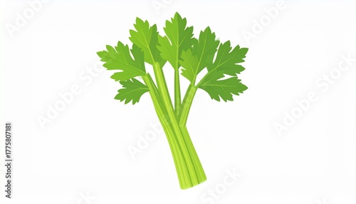Celery Vegetable flat vector illustration 