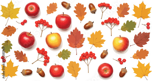 Autumn Harvest Apples Rowan Berries Oak Leaves Acorns Isolated On White