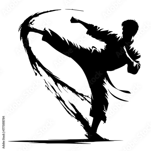 Karate fire kick silhouette
