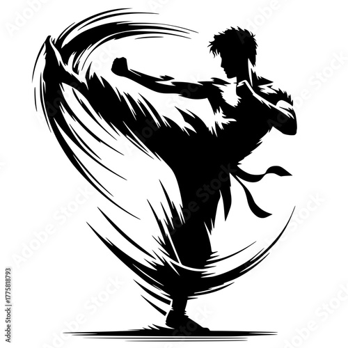 Karate wind kick silhouette