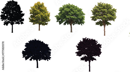 The image features trees set against a clean white background, creating a striking visual contrast. The tree on the left is depicted in a dark  hue, which adds an element of uniqueness