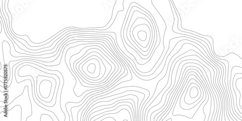 Topography background. Vector banner. Topography map background. Vector geographic contour map. Background of the topographic map. Topographic map lines, contour background.	