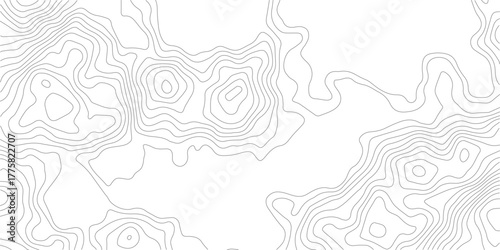 Topography background. Vector banner. Topography map background. Vector geographic contour map. Background of the topographic map. Topographic map lines, contour background.	