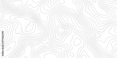 Topography background. Vector banner. Topography map background. Vector geographic contour map. Background of the topographic map. Topographic map lines, contour background.	