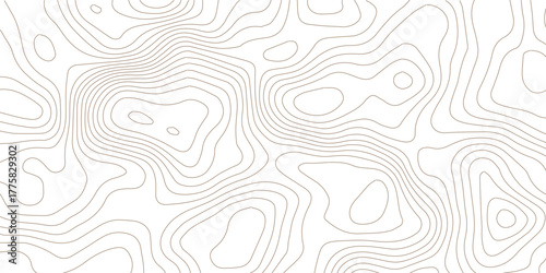 Topography background. Vector banner. Topography map background. Vector geographic contour map. Background of the topographic map. Topographic map lines, contour background.	