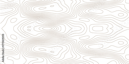 Topography background. Vector banner. Topography map background. Vector geographic contour map. Background of the topographic map. Topographic map lines, contour background.	