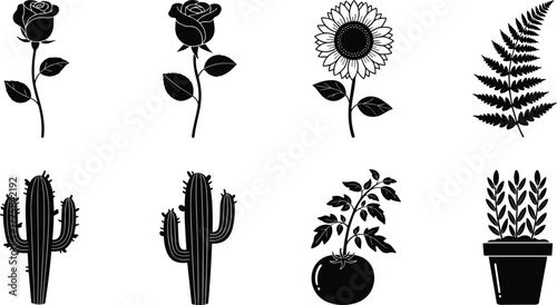 Icon styles solid, outline, abstract, gear, magnifying glass, envelope, star, flower illustrations rose, sunflower, lily, daisy, tulip, orchid