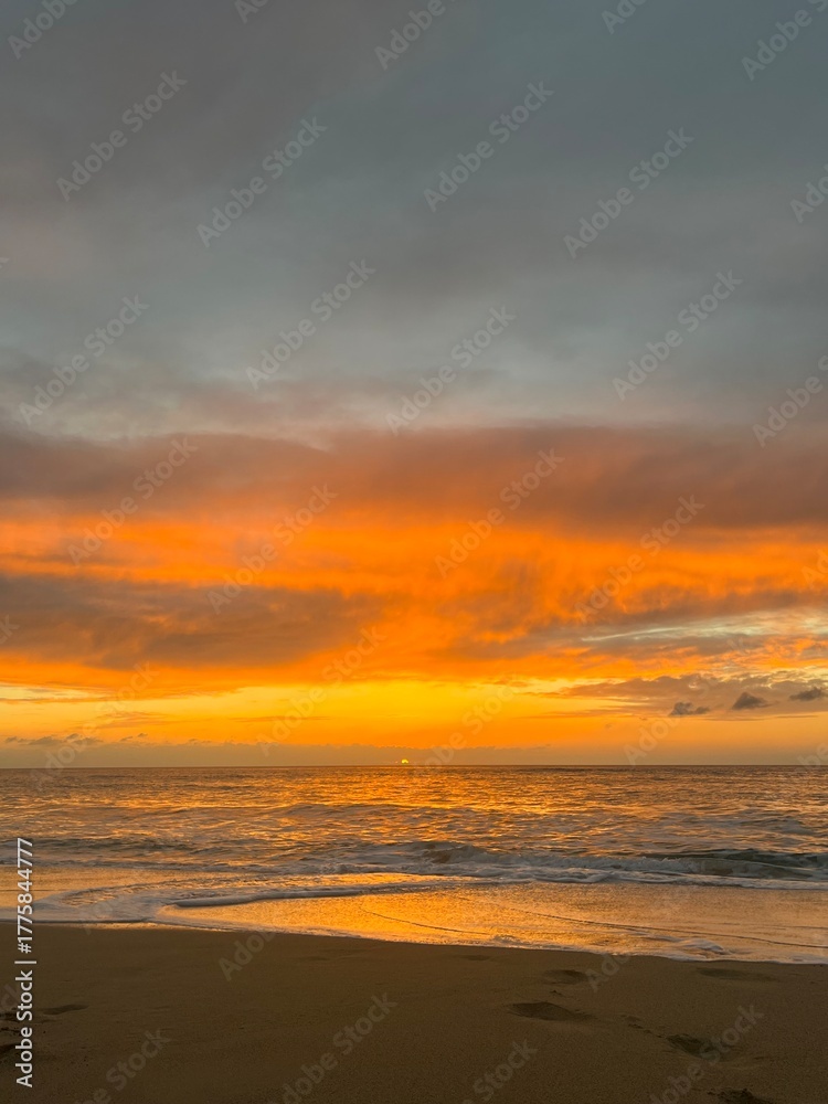 Naklejka premium sunset on the beach